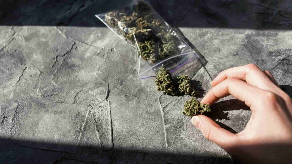 Why Cannabis Decriminalisation in the UK is Not the Answer