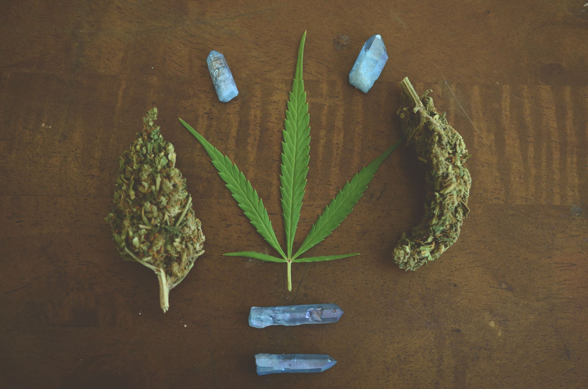 Federal Ban on Hemp-Derived THC: What Happens Next